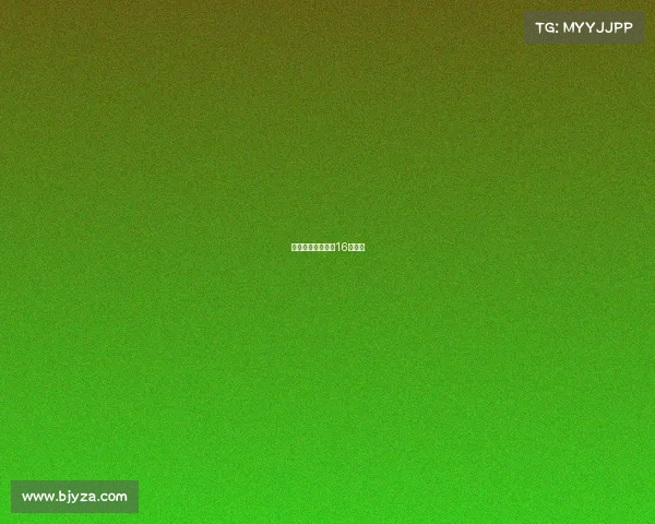 十六强赛事安排—16强出炉